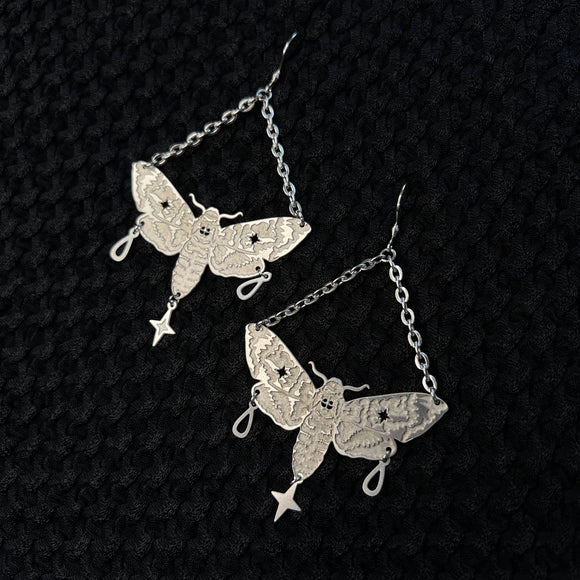 starry hawk moths